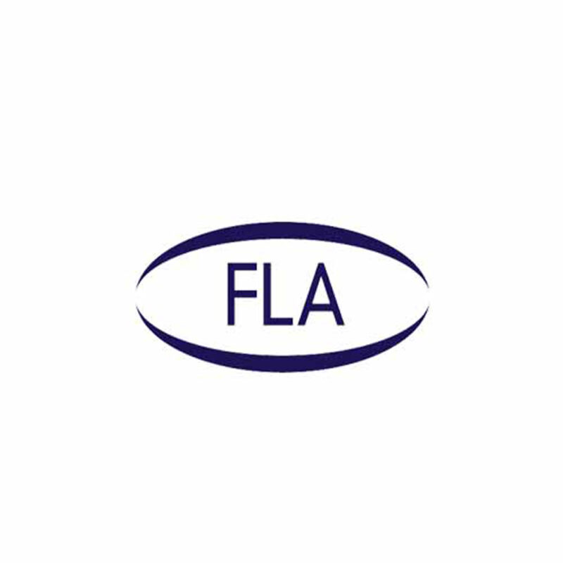 FLA (Finance and Leasing Association)