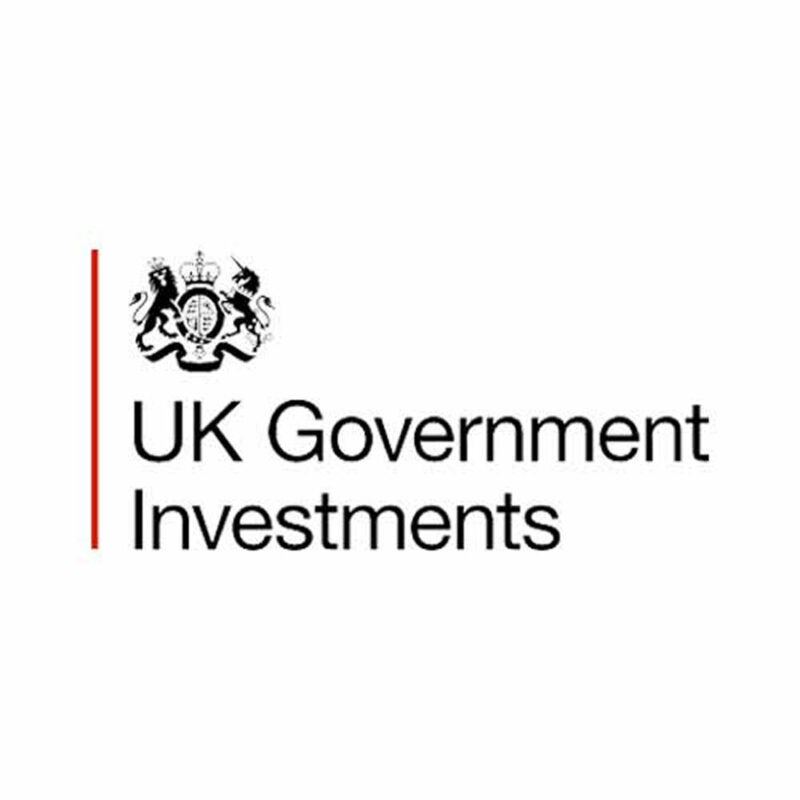 UK Government Investments