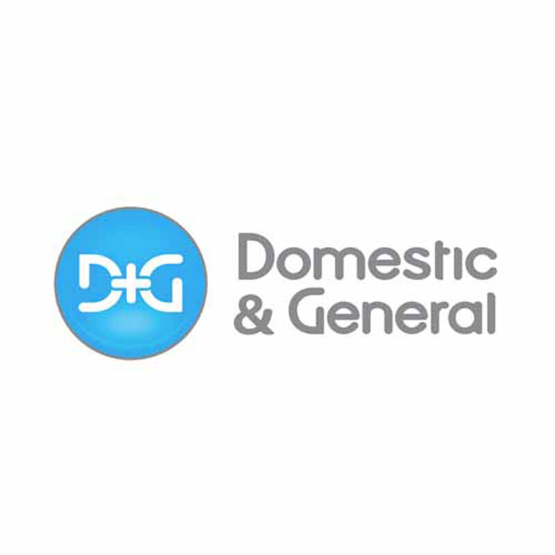Domestic and General PLC
